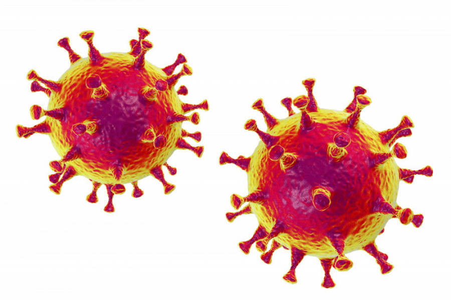 Coronavirus 19 123rf 43859