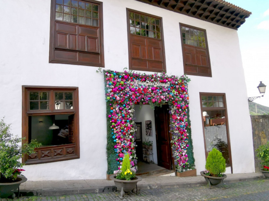 La casa del drago 42527