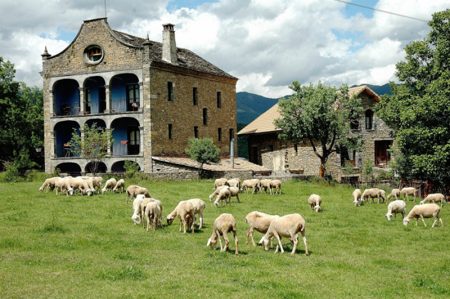 Casa arana 4 39944