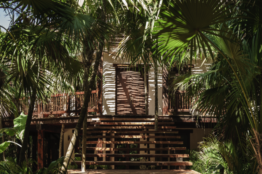 014 ds treehouse 27229