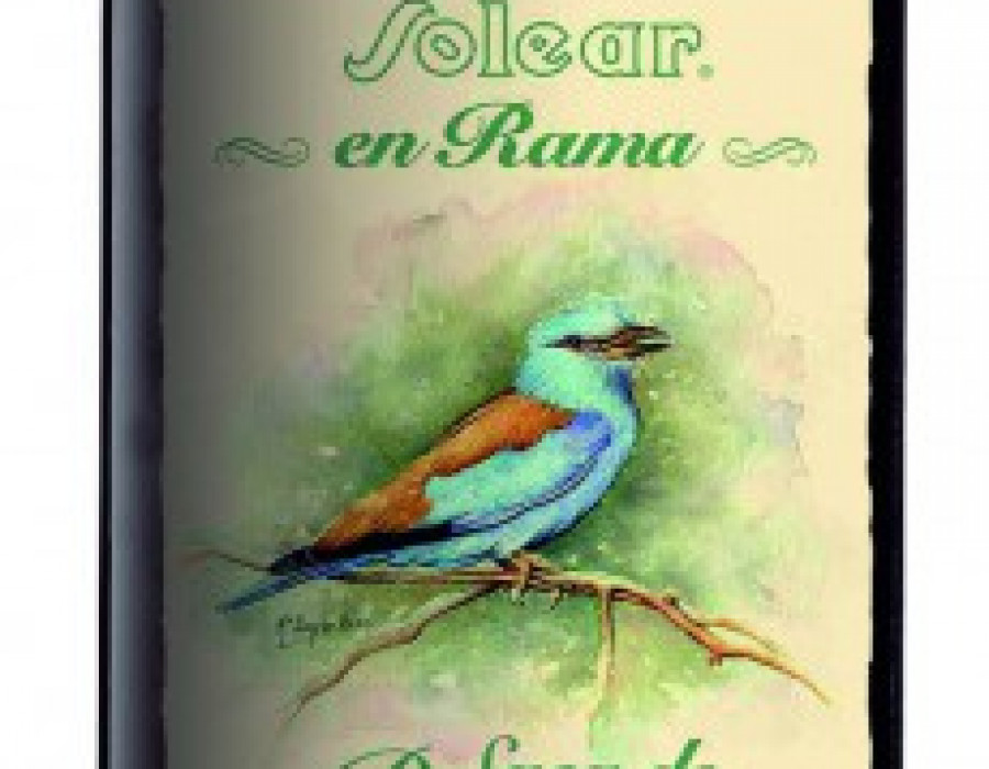 Barbadillo manzanilla primavera 16545
