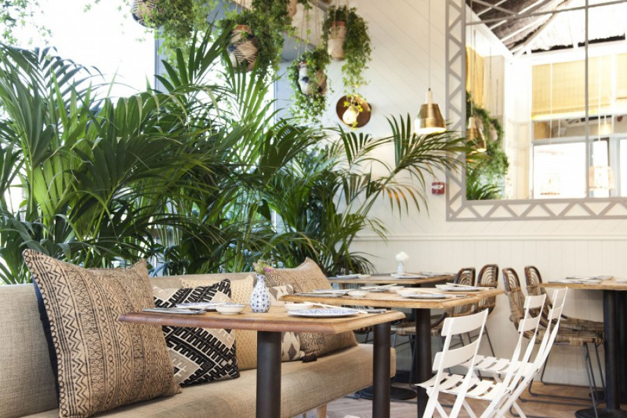 Sushitacafe parquesur 13305