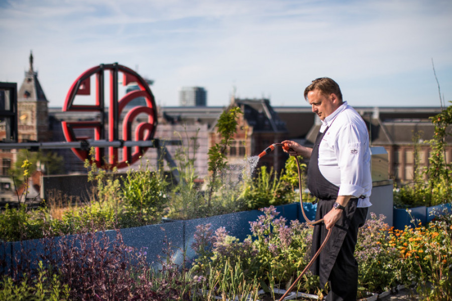 Chris naylor vegetable garden 5m 48934