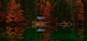 Tree water nature forest wilderness countryside 548748 pxhere