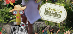 Galicia promocionará en Madrid y París los vinos de sus cinco D.O.