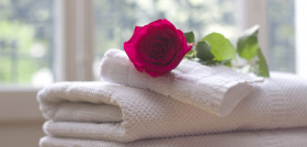 White flower petal rose relax clean 731641 pxhere