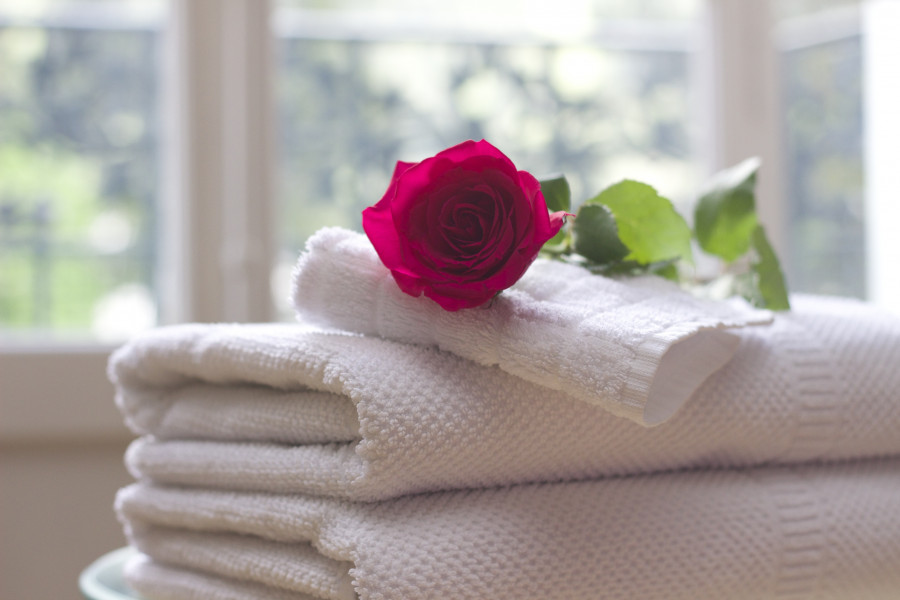 White flower petal rose relax clean 731641 pxhere