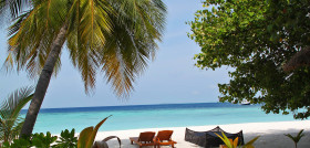 Beach landscape sea coast tree water 794319 pxhere