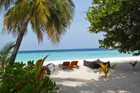 Beach landscape sea coast tree water 794319 pxhere
