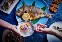 COYA Beach Ceviche